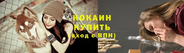 соль ск Волосово
