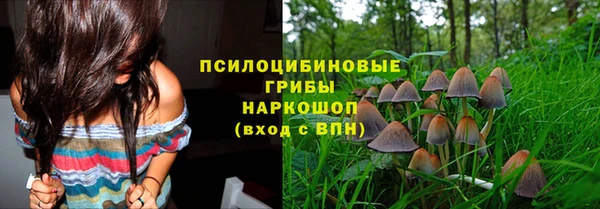 прущая мука Волоколамск